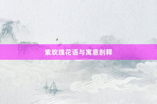 紫玫瑰花语与寓意剖释